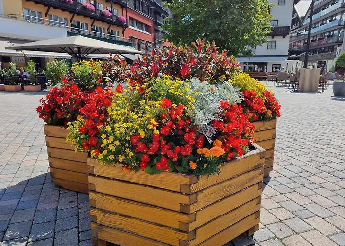 Wohlfuehl-appartement Bergsee Family - Am Wildsee - Sup Und Schlitten For Free Seefeld in Tirol