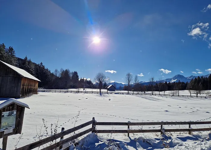 Wohlfuehl-appartement Bergsee Family - Am Wildsee - Sup Und Schlitten For Free Apartment Seefeld in Tirol