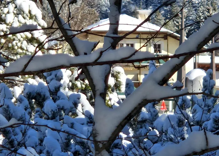 Wohlfuehl-appartement Bergsee Family - Am Wildsee - Sup Und Schlitten For Free *