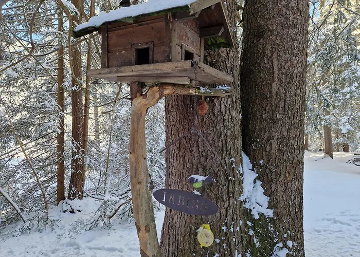 Wohlfuehl-appartement Bergsee Family - Am Wildsee - Sup Und Schlitten For Free