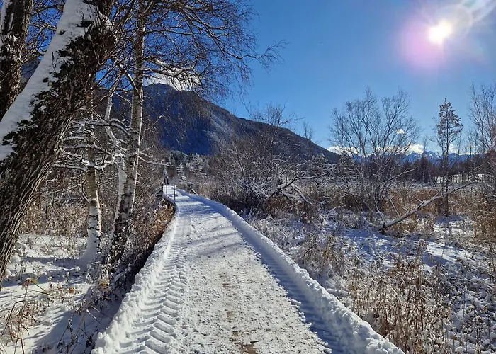 Wohlfuehl-appartement Bergsee Family - Am Wildsee - Sup Und Schlitten For Free *