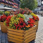Wohlfuehl-appartement Bergsee Family - Am Wildsee - Sup Und Schlitten For Free Зефельд-ін-Тіроль