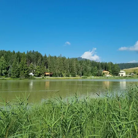 Wohlfuehl-appartement Bergsee Family - Am Wildsee - Sup Und Schlitten For Free Апартаменти