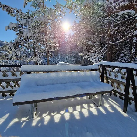 Wohlfuehl-appartement Bergsee Family - Am Wildsee - Sup Und Schlitten For Free Apartament Seefeld w Tirolu