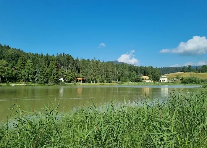 Wohlfuehl-appartement Bergsee Family - Am Wildsee - Sup Und Schlitten For Free Apartament